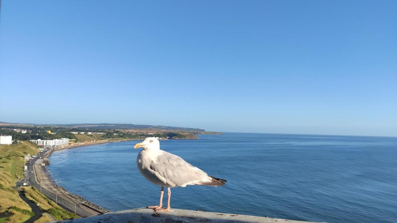 Areawest Vandrarhem Scarborough Exteriör bild
